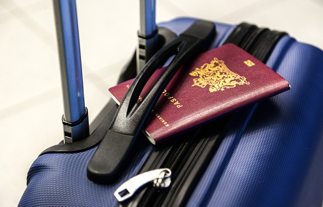 reisedokument nzeta